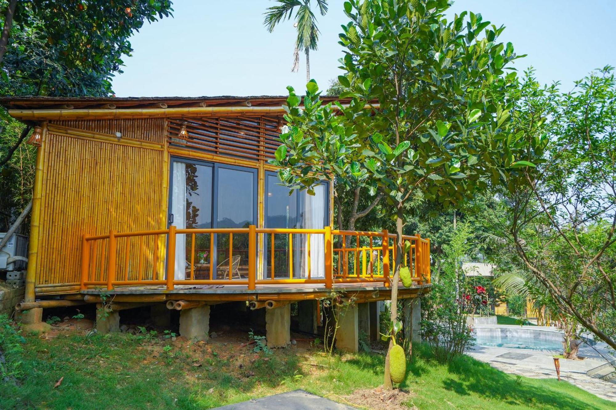 Little Bee House Hotell Trai Vang Eksteriør bilde