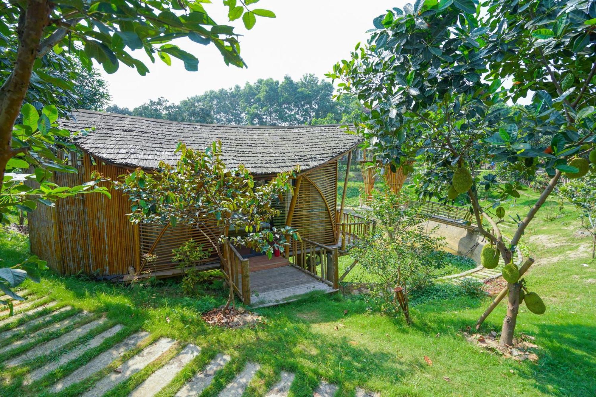 Little Bee House Hotell Trai Vang Eksteriør bilde