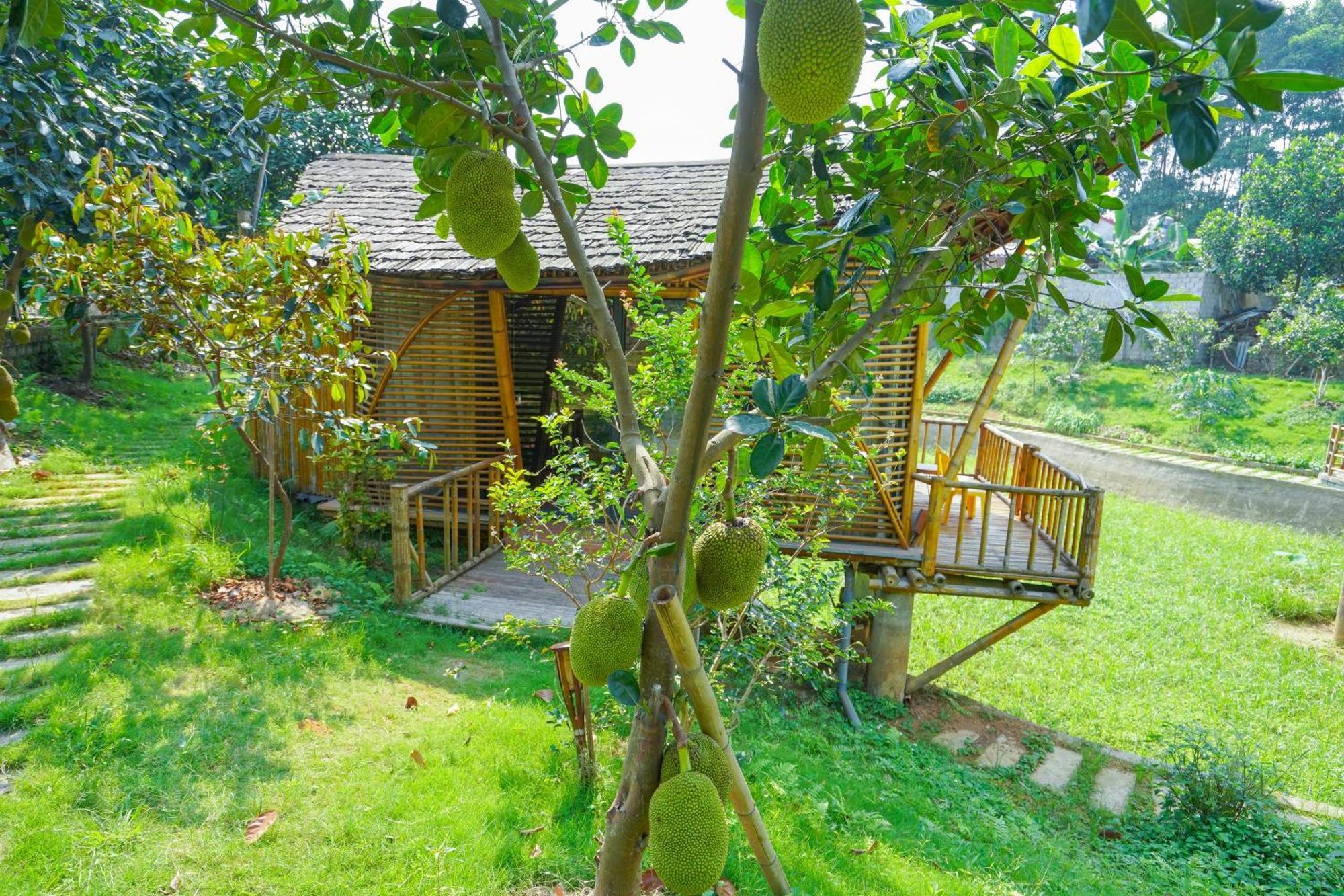 Little Bee House Hotell Trai Vang Eksteriør bilde